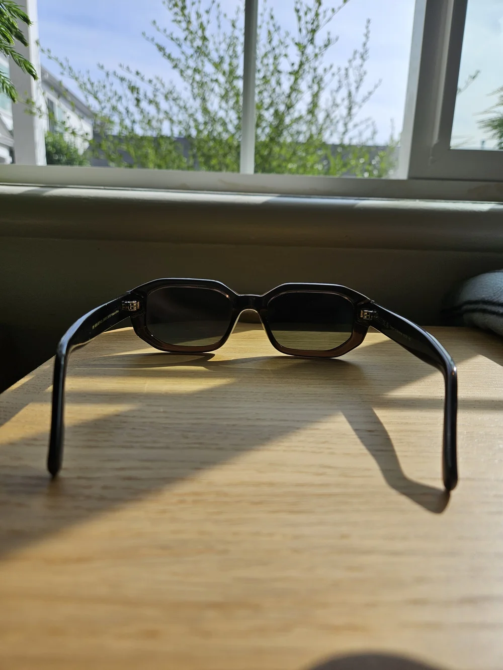 KESSIE Sepia Olive Sunglasses